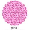 FUNDO RENDADO FLIP N7 PINK 100UN