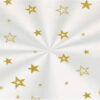 SACO CROMUS 11X19,5 ESTRELA OURO 50UN