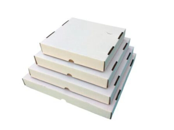 CAIXA SALGADO ALEPACK N2 5X30X30